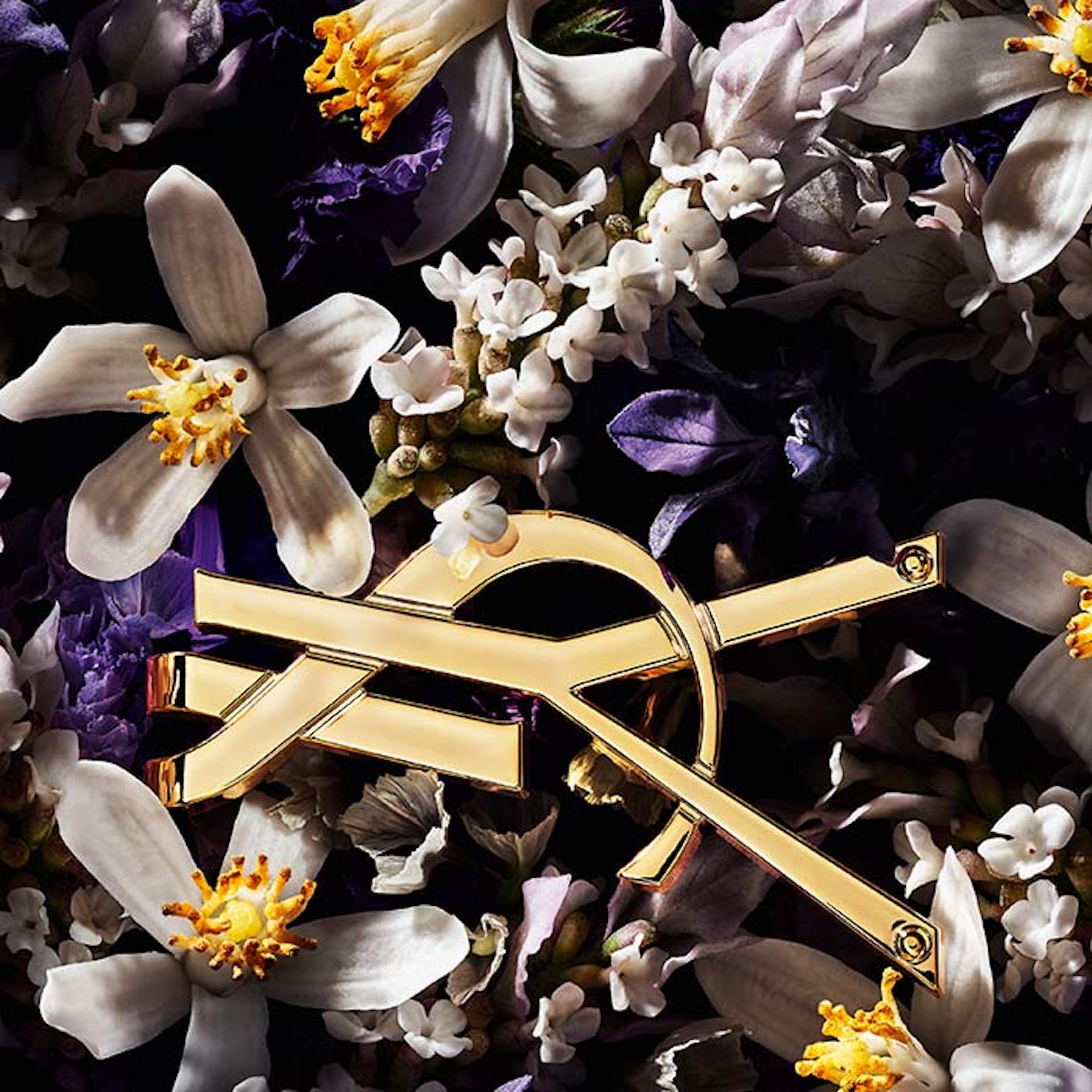 YSL manifesto - obrazek 4