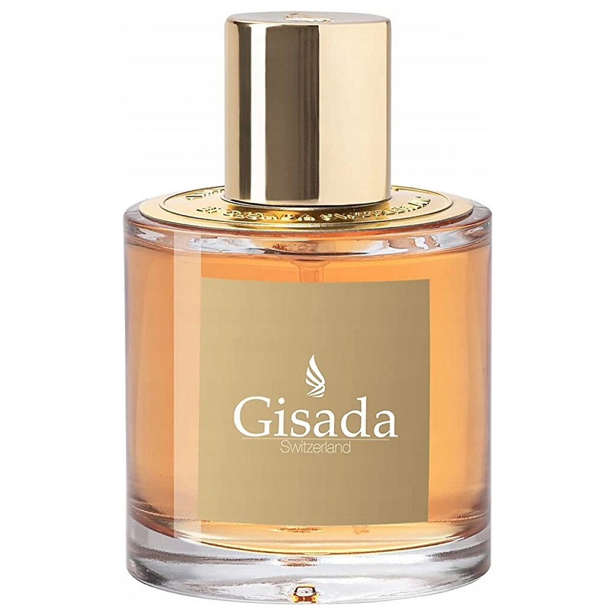 gisada ambasador for woman